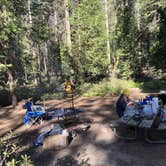 Review photo of Crane Flat Campground — Yosemite National Park by Austin C., May 29, 2019