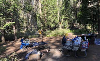 Austin C.'s photo at Crane Flat Campground — Yosemite National Park near El Portal, CA