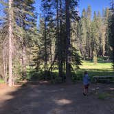 Review photo of Crane Flat Campground — Yosemite National Park by Austin C., May 29, 2019