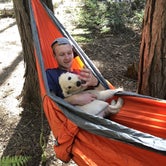Review photo of Crane Flat Campground — Yosemite National Park by Austin C., May 29, 2019