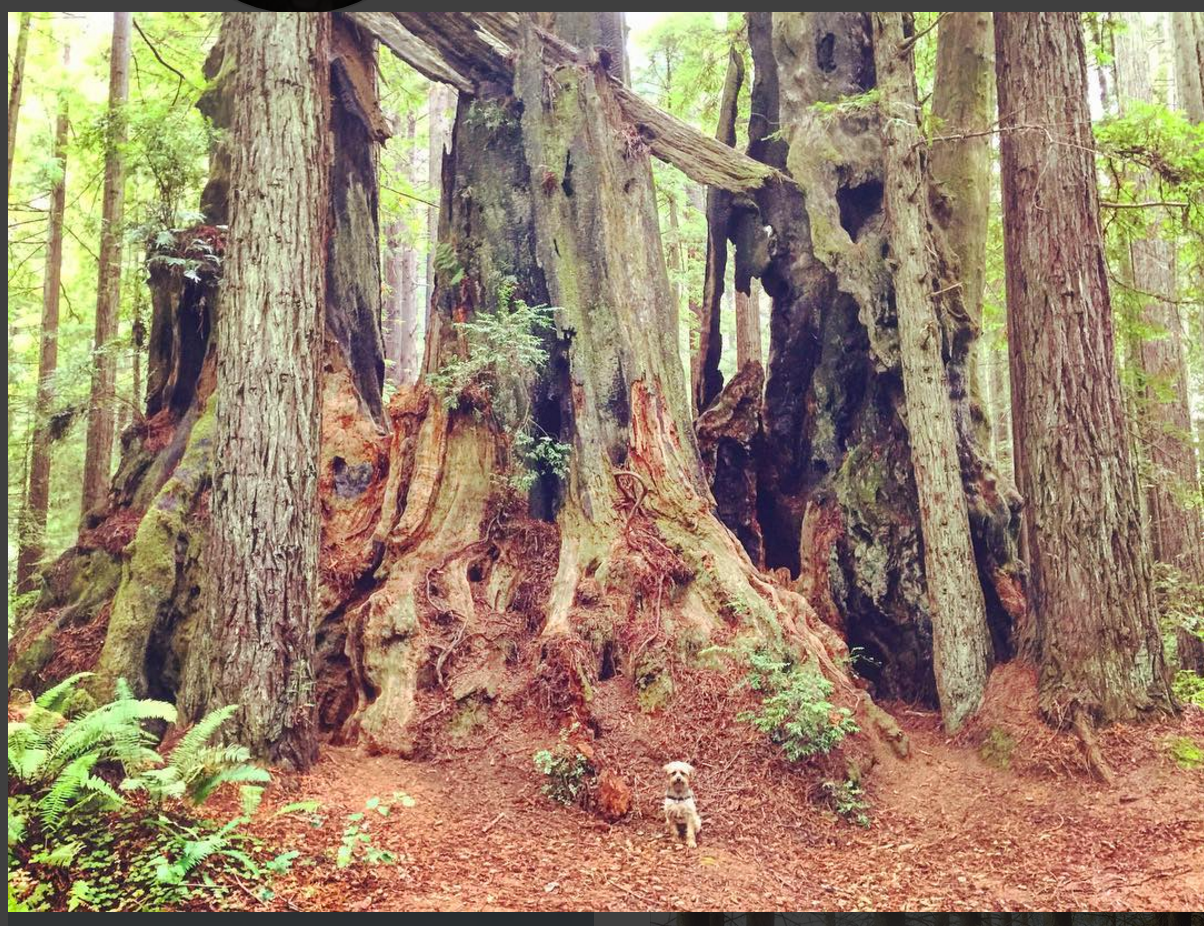 Camper submitted image from Florence Keller Regional Park - 2