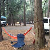 Review photo of Upper Pines Campground — Yosemite National Park by Austin C., May 29, 2019