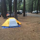 Review photo of Upper Pines Campground — Yosemite National Park by Austin C., May 29, 2019