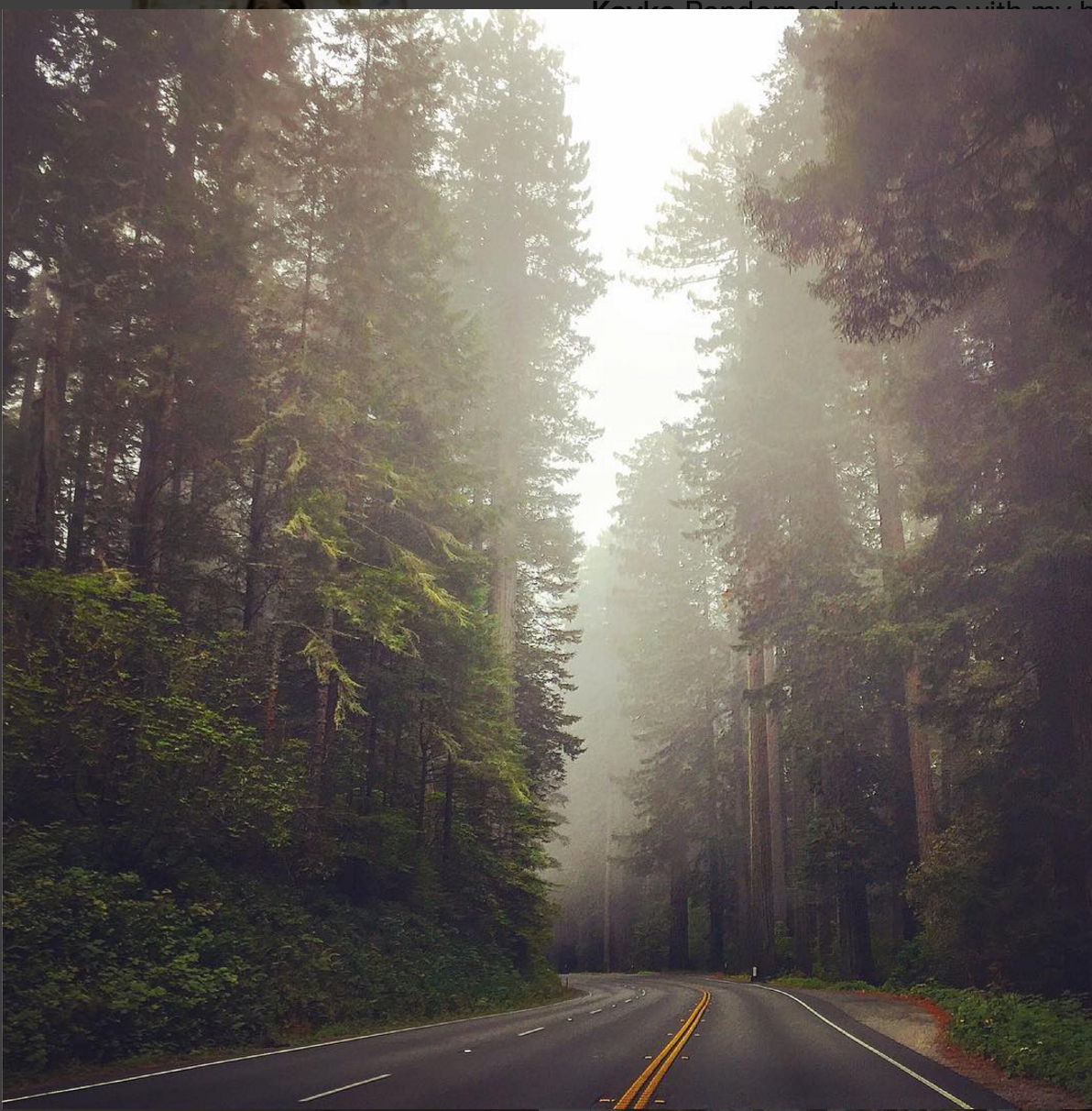 Camper-submitted photo at Florence Keller Regional Park near Klamath, CA