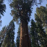 Review photo of Azalea Campground — Kings Canyon National Park by Austin C., May 29, 2019