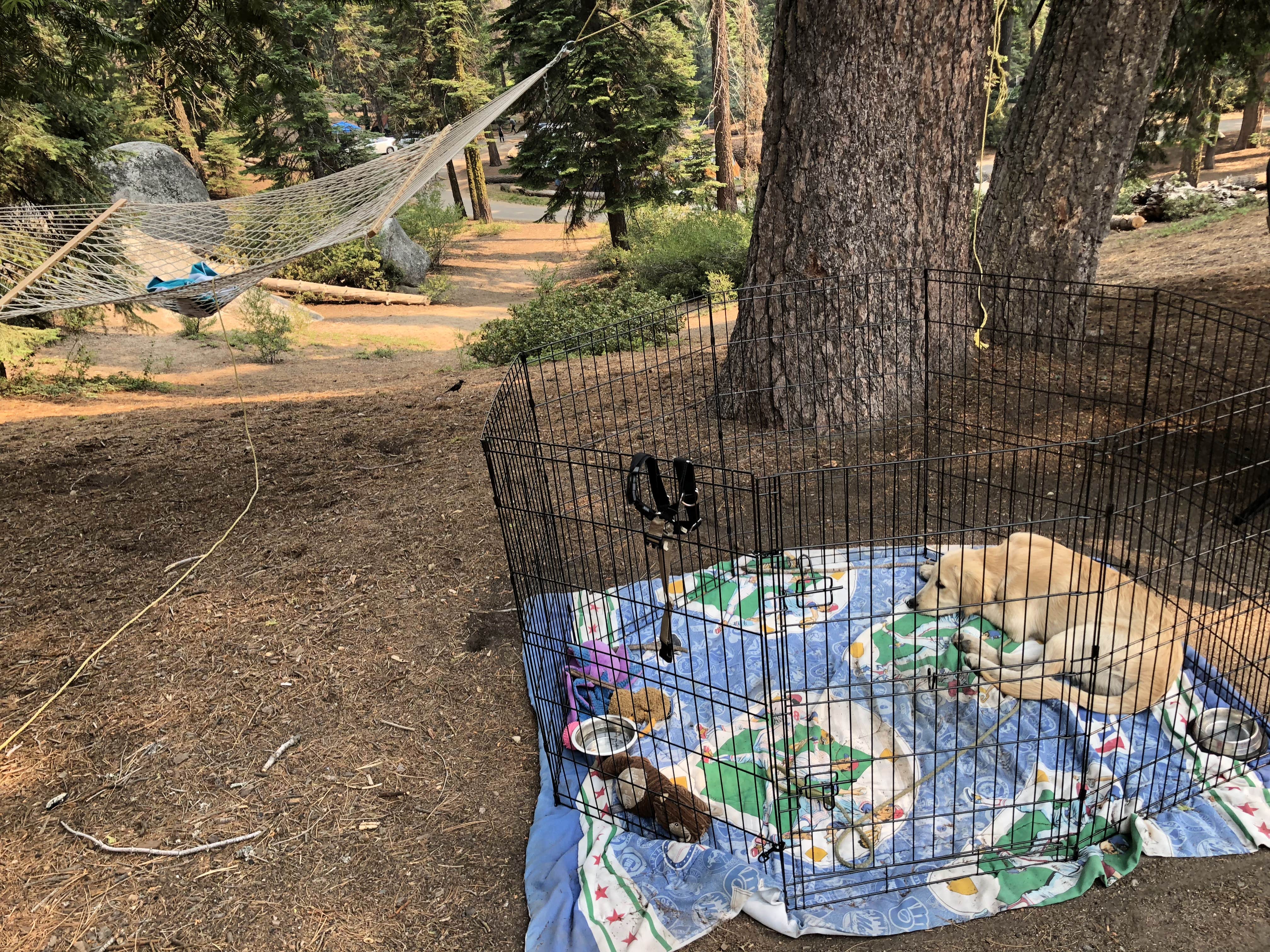 Camper-submitted photo at Azalea Campground — Kings Canyon National Park near Hume, CA