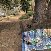 Review photo of Azalea Campground — Kings Canyon National Park by Austin C., May 29, 2019