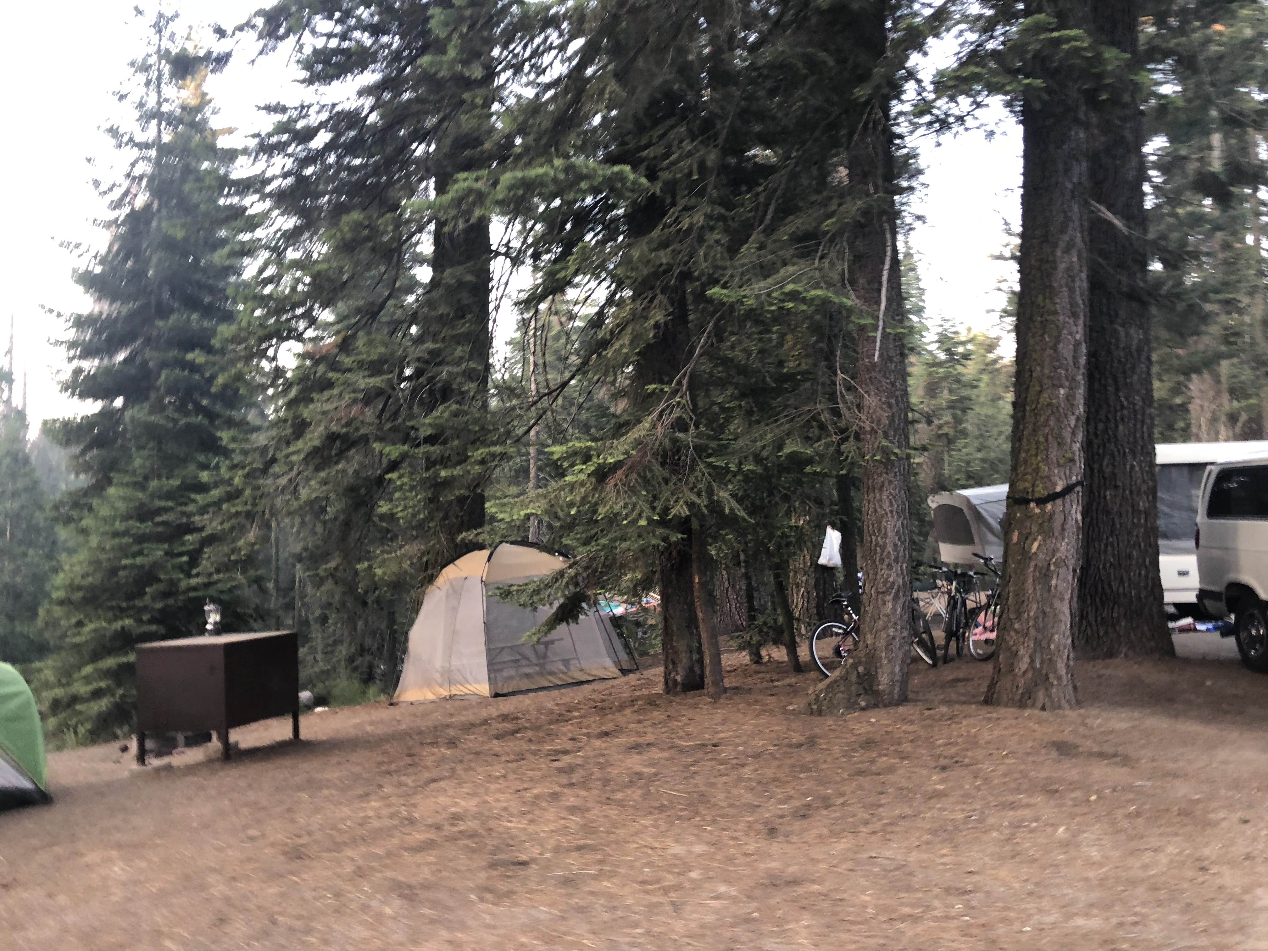Camper-submitted photo at Azalea Campground — Kings Canyon National Park near Clovis, CA