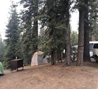 Camper-submitted photo from Kings River RV Resort