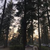 Review photo of Azalea Campground — Kings Canyon National Park by Austin C., May 29, 2019