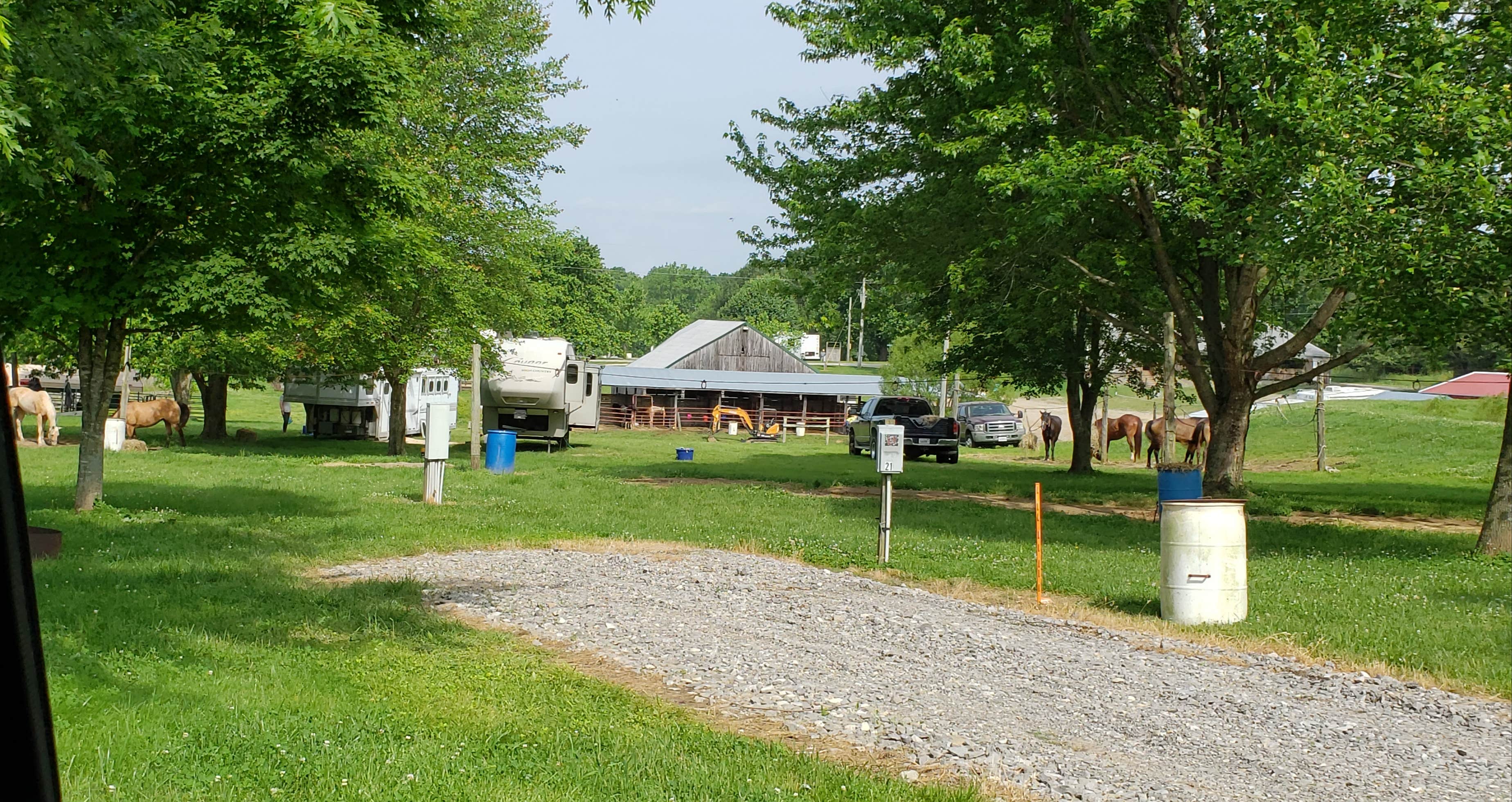dana W.&#x27;s photo of camping with a horse at Little Lusk Trail Lodge &amp; Campground near Whittington, IL