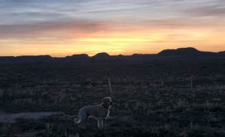 Austin C.'s photo of camping with pets at BLM 144 Dispersed in Utah