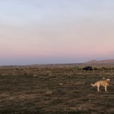 Review photo of BLM 144 Dispersed by Austin C., May 29, 2019