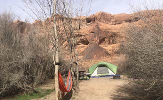 Austin C.'s photo at King's Bottom Campground near Moab, UT