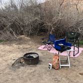 Review photo of King's Bottom Campground by Austin C., May 29, 2019