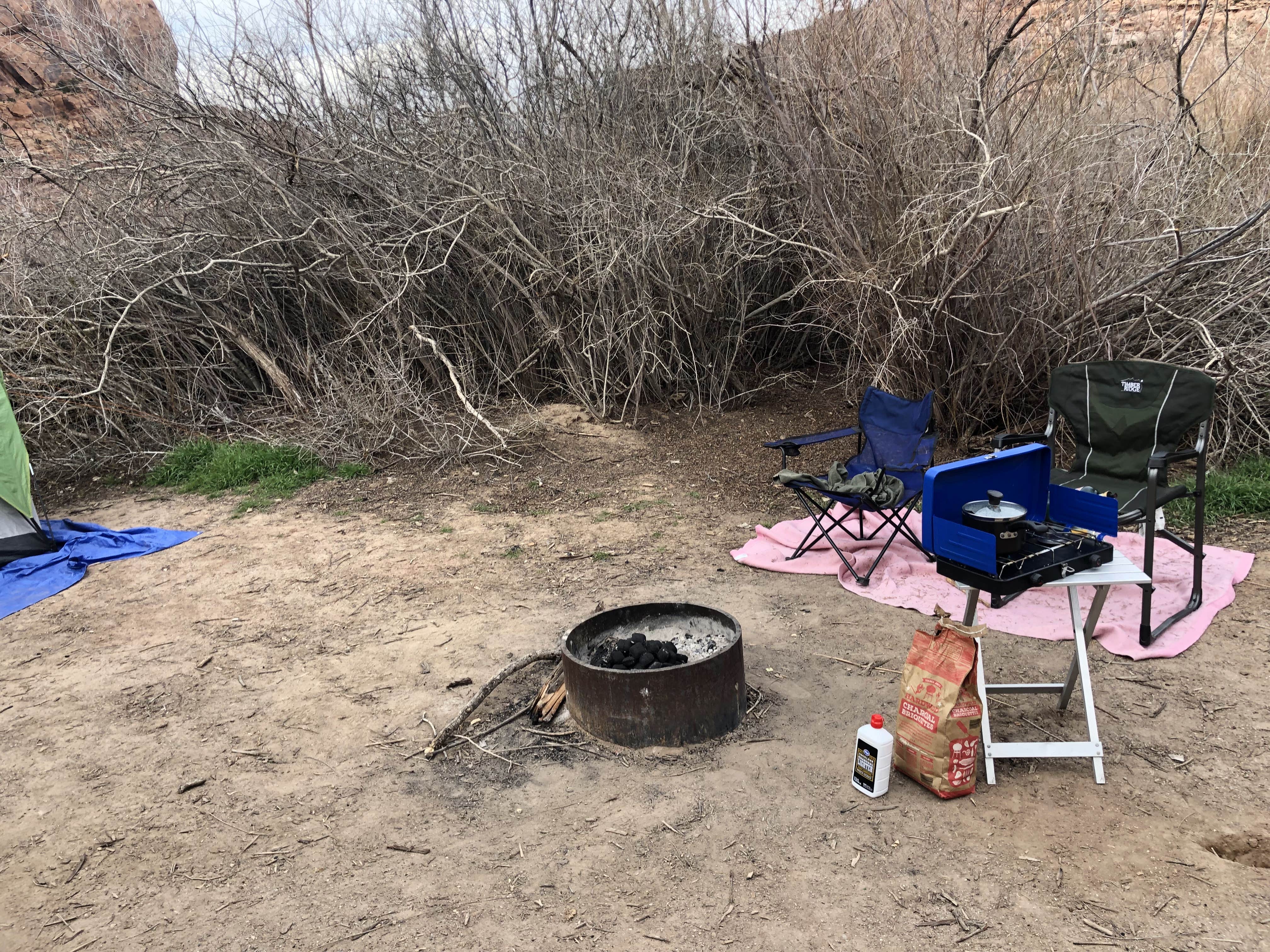Camper submitted image from King's Bottom Campground - 2