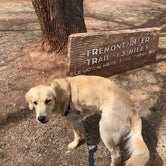 Review photo of Fruita Campground by Austin C., May 29, 2019