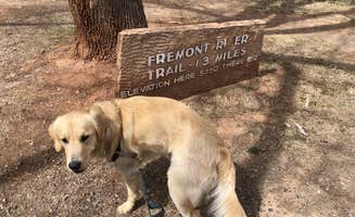 Austin C.'s photo of camping with pets at Fruita Campground — Capitol Reef National Park near Teasdale, UT