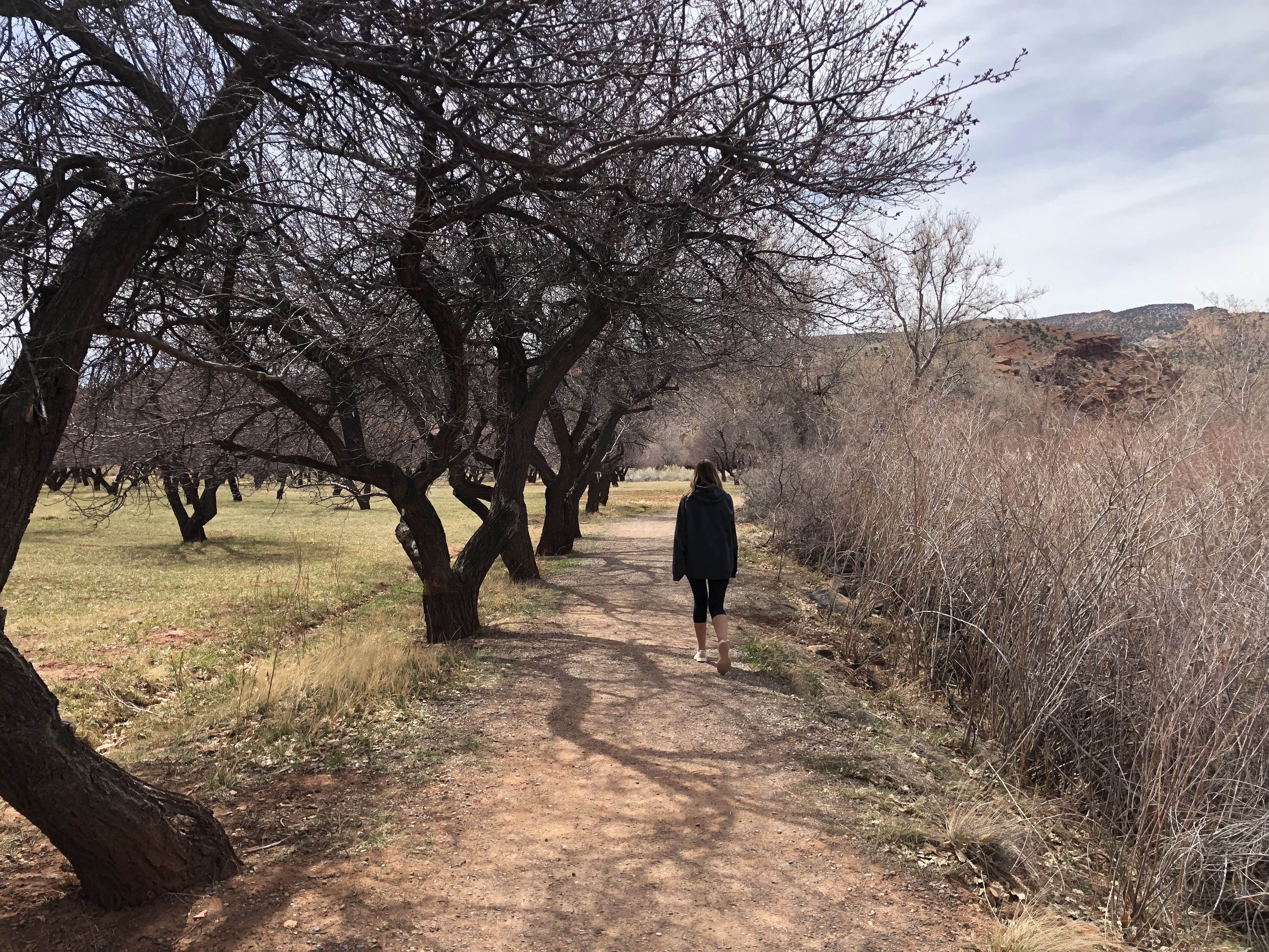 Camper-submitted photo at Fruita Campground — Capitol Reef National Park near Capitol Reef National Park
