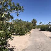 Review photo of Echo Bay Lower Campground — Lake Mead National Recreation Area by Austin C., May 29, 2019