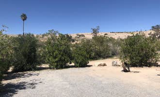Camping near Meadview RV Park: Echo Bay Lower Campground — Lake Mead National Recreation Area, Overton, Nevada