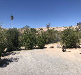 Camper-submitted photo from Echo Bay Lower Campground — Lake Mead National Recreation Area