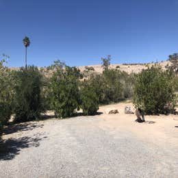 Public Campgrounds: Echo Bay Lower Campground — Lake Mead National Recreation Area