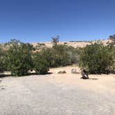 Review photo of Echo Bay Lower Campground — Lake Mead National Recreation Area by Austin C., May 29, 2019