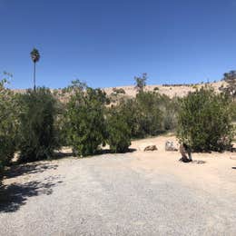 Echo Bay Lower Campground — Lake Mead National Recreation Area