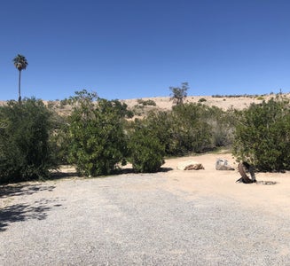 Camper-submitted photo from Echo Bay Lower Campground — Lake Mead National Recreation Area
