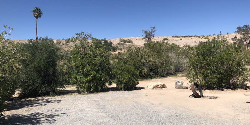Camper submitted image from Echo Bay Lower Campground — Lake Mead National Recreation Area