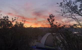 Austin C.'s photo at Echo Bay Lower Campground — Lake Mead National Recreation Area near Meadview, AZ