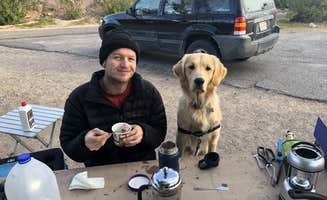 Austin C.'s photo of camping with pets at Echo Bay Lower Campground — Lake Mead National Recreation Area near Temple Bar Marina, AZ