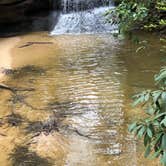 Review photo of Koomer Ridge Campground — Daniel Boone National Forest by Drew W., May 30, 2019