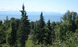 Camping near Fishing Hole Campground: Hornaday Park Campground, Homer, Alaska
