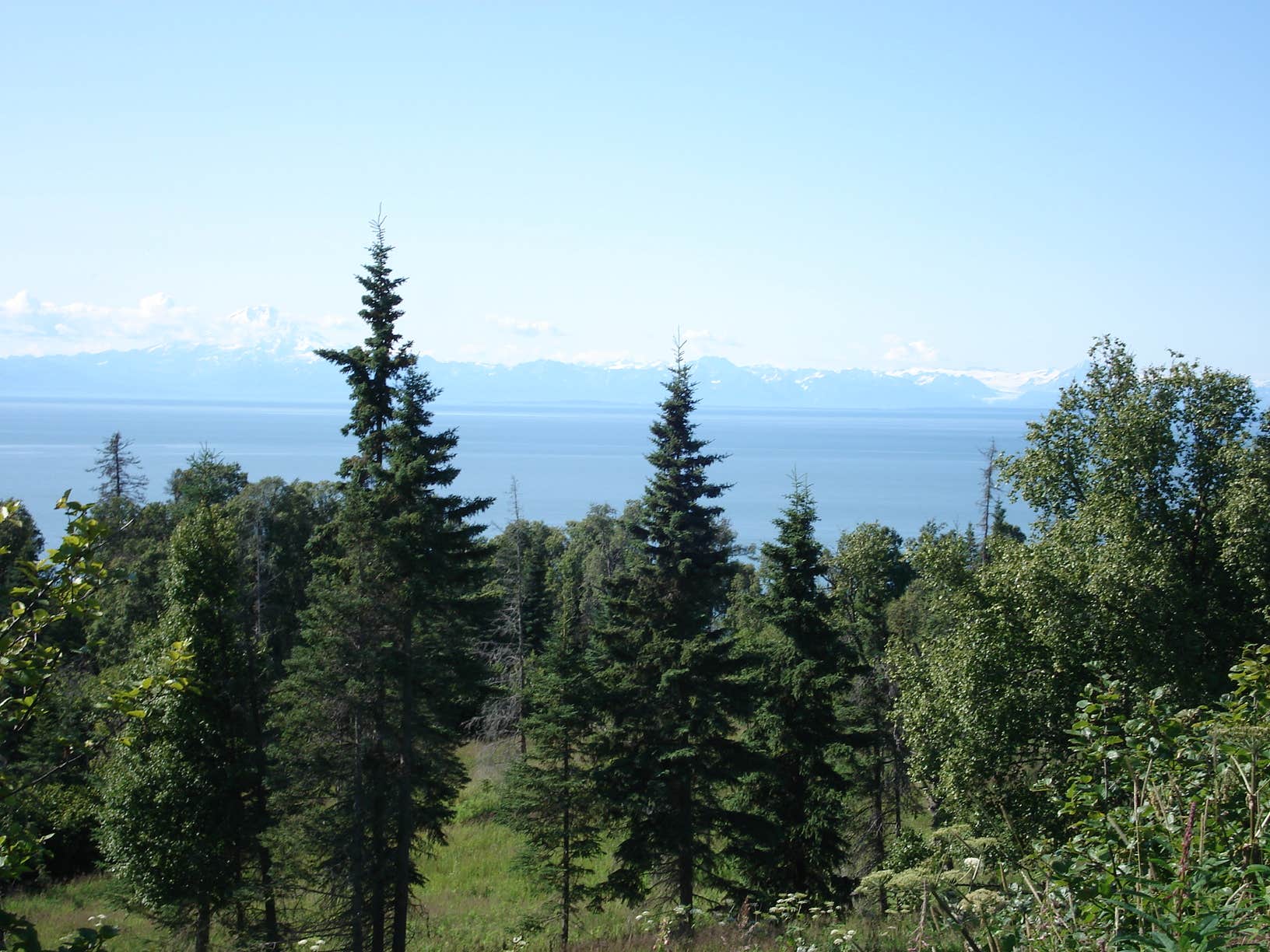 Camper submitted image from Karen Hornaday Park Campground - CLOSED UNTIL FURTHER NOTICE - 1