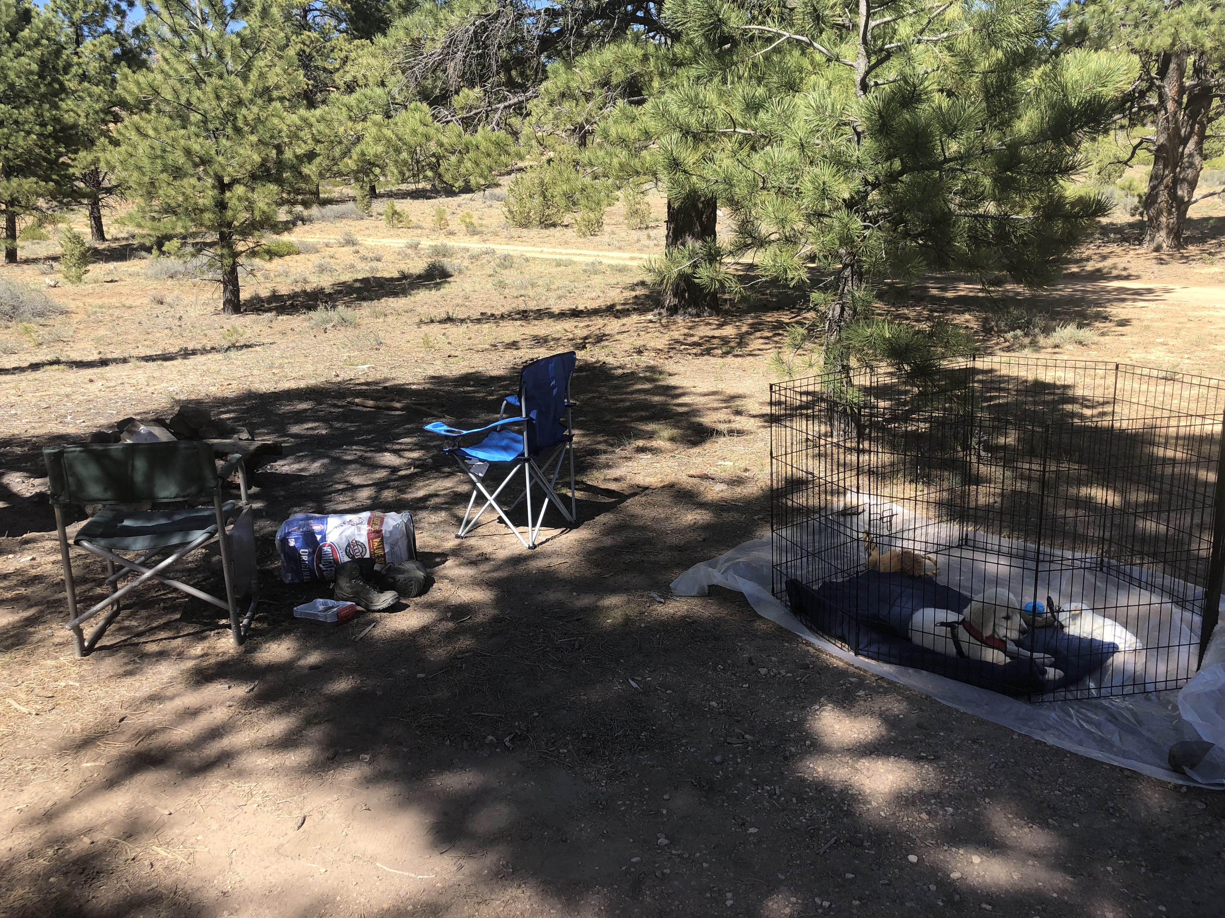 Camper submitted image from Tom Best Spring Road FR117 Dispersed - Dixie National Forest - 4