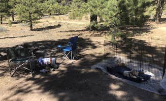 Austin C.'s photo at Tom Best Spring Road FR117 Dispersed - Dixie National Forest near Tropic, UT