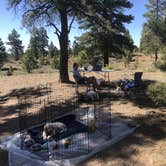 Review photo of Tom Best Spring Road FR117 Dispersed - Dixie National Forest by Austin C., May 30, 2019