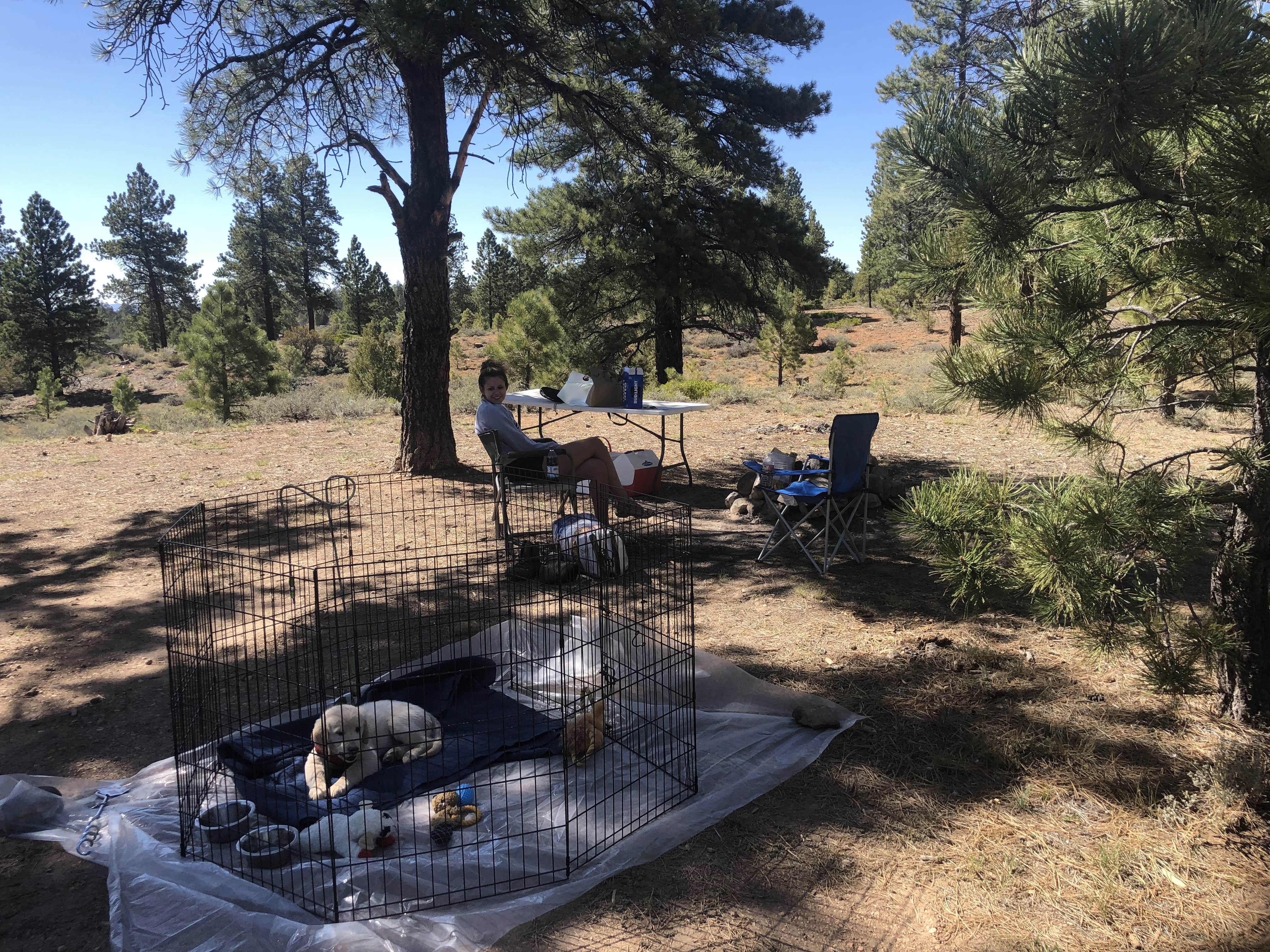 Camper submitted image from Tom Best Spring Road FR117 Dispersed - Dixie National Forest - 5