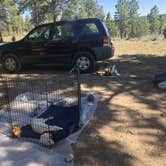 Review photo of Tom Best Spring Road FR117 Dispersed - Dixie National Forest by Austin C., May 30, 2019