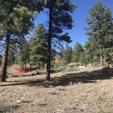 Review photo of Tom Best Spring Road FR117 Dispersed - Dixie National Forest by Austin C., May 30, 2019