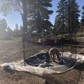 Review photo of Tom Best Spring Road FR117 Dispersed - Dixie National Forest by Austin C., May 30, 2019