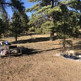 Review photo of Tom Best Spring Road FR117 Dispersed - Dixie National Forest by Austin C., May 30, 2019