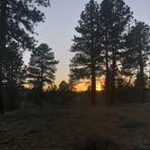 Review photo of Tom Best Spring Road FR117 Dispersed - Dixie National Forest by Austin C., May 30, 2019