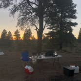 Review photo of Tom Best Spring Road FR117 Dispersed - Dixie National Forest by Austin C., May 30, 2019