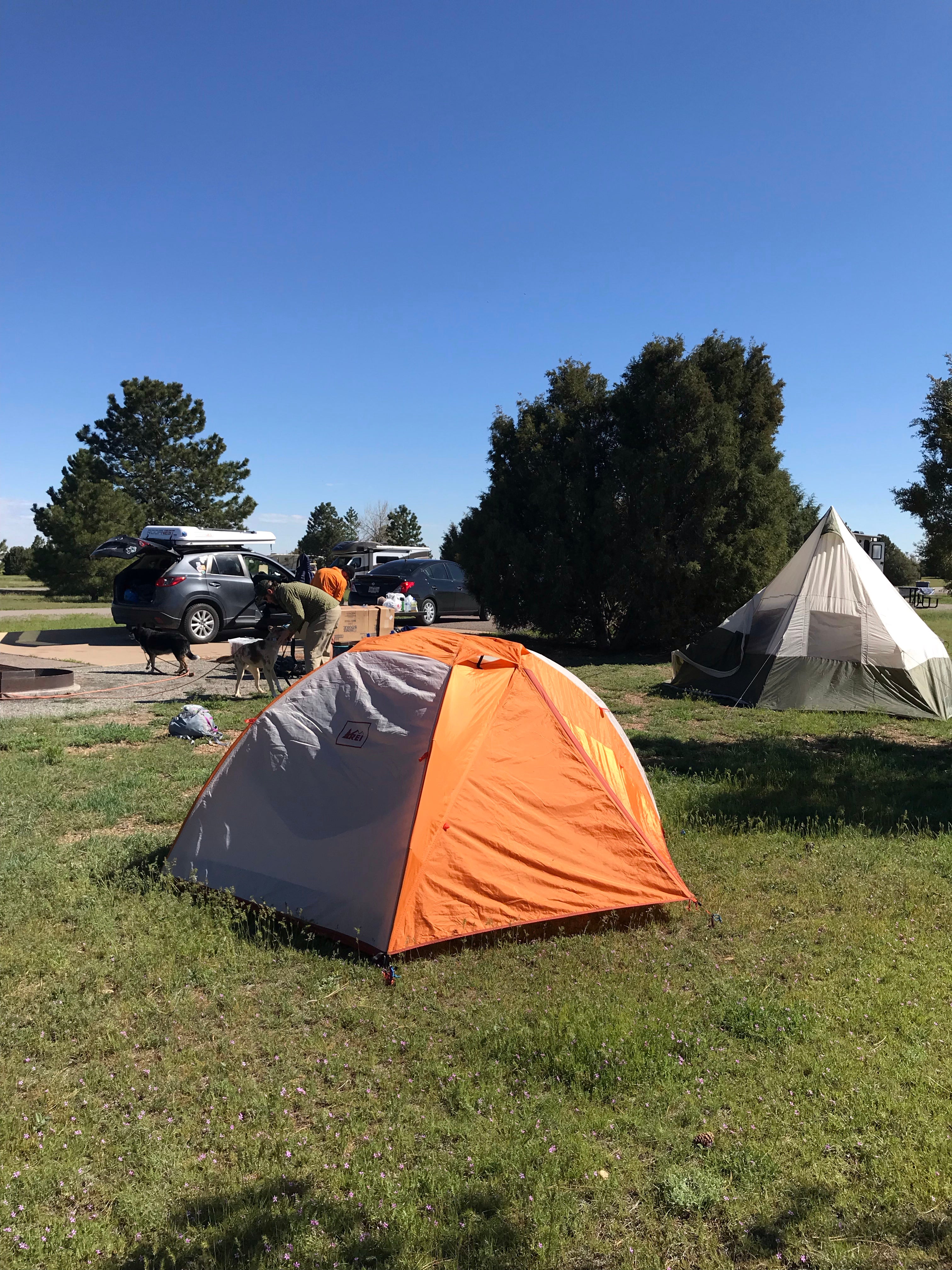 Camper submitted image from Chatfield State Park Campground - 5