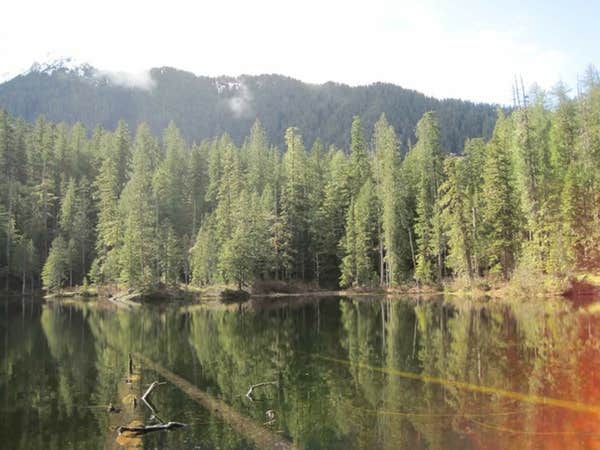 Camper submitted image from Elk Lake — Olympic National Park - 2