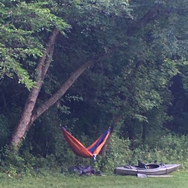 If you want to hammock, you need to score a prized site along the treelike