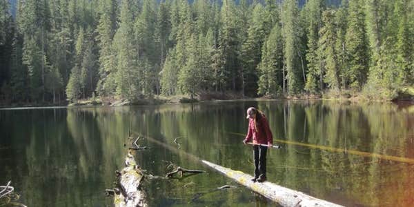 Camper submitted image from Elk Lake — Olympic National Park